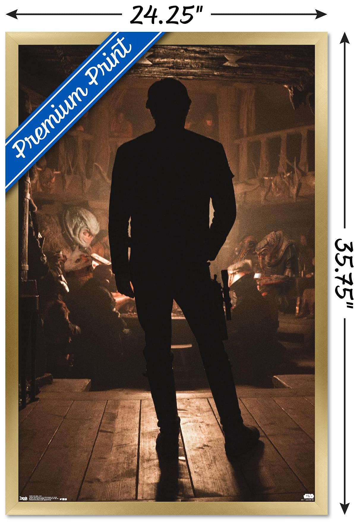 Trends International Star Wars: Solo - Han Wall Poster, 34