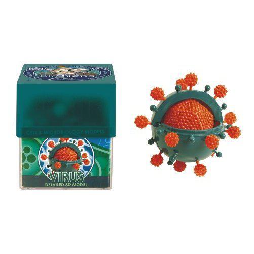 Bio Signs Interactive Virus Model - Educational Science Kit for Kids & Students - Perfect for Classroom Learning & STEM Activities
