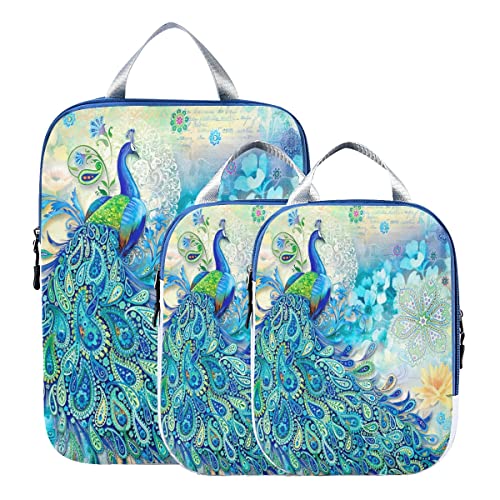 Peacock 71