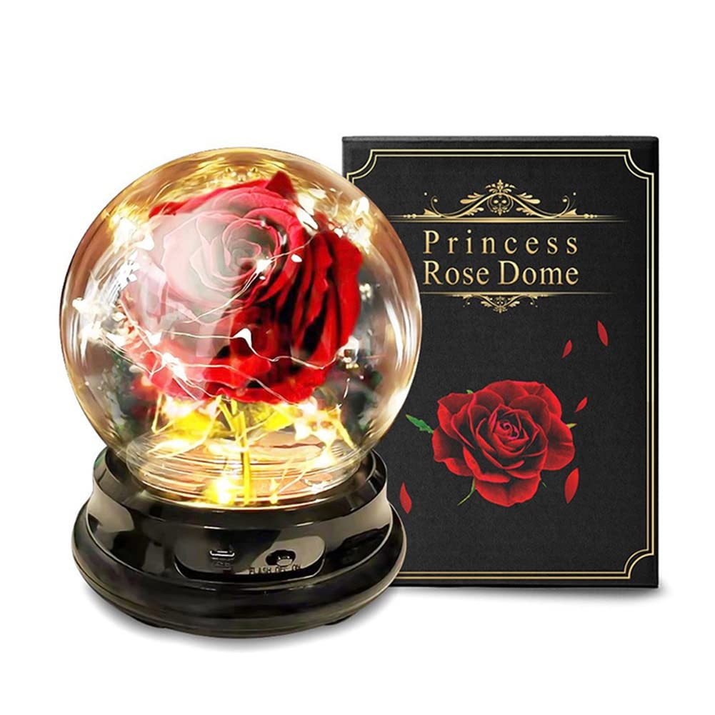 Novobey Beauty and The Beast Rose in Glass Dome - Red Silk Rose with LED Light & Fallen Petals on Wooden Base - Perfect Christmas Gift, Valentine's Day Present, Anniversary or Birthday Gift for Her - Romantic Home Decor & Disney Collector's Item