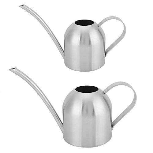 Premium Stainless Steel Watering Can for Indoor Plants - 500ML Modern Design with Long Spout - Perfect for Houseplants, Gardens, and Home Decor