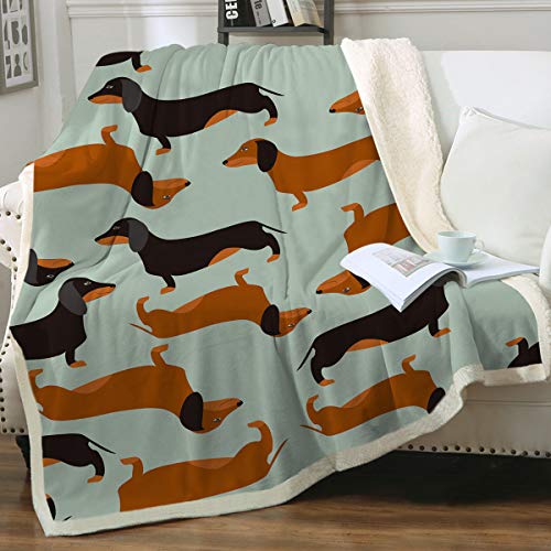 Dachshund