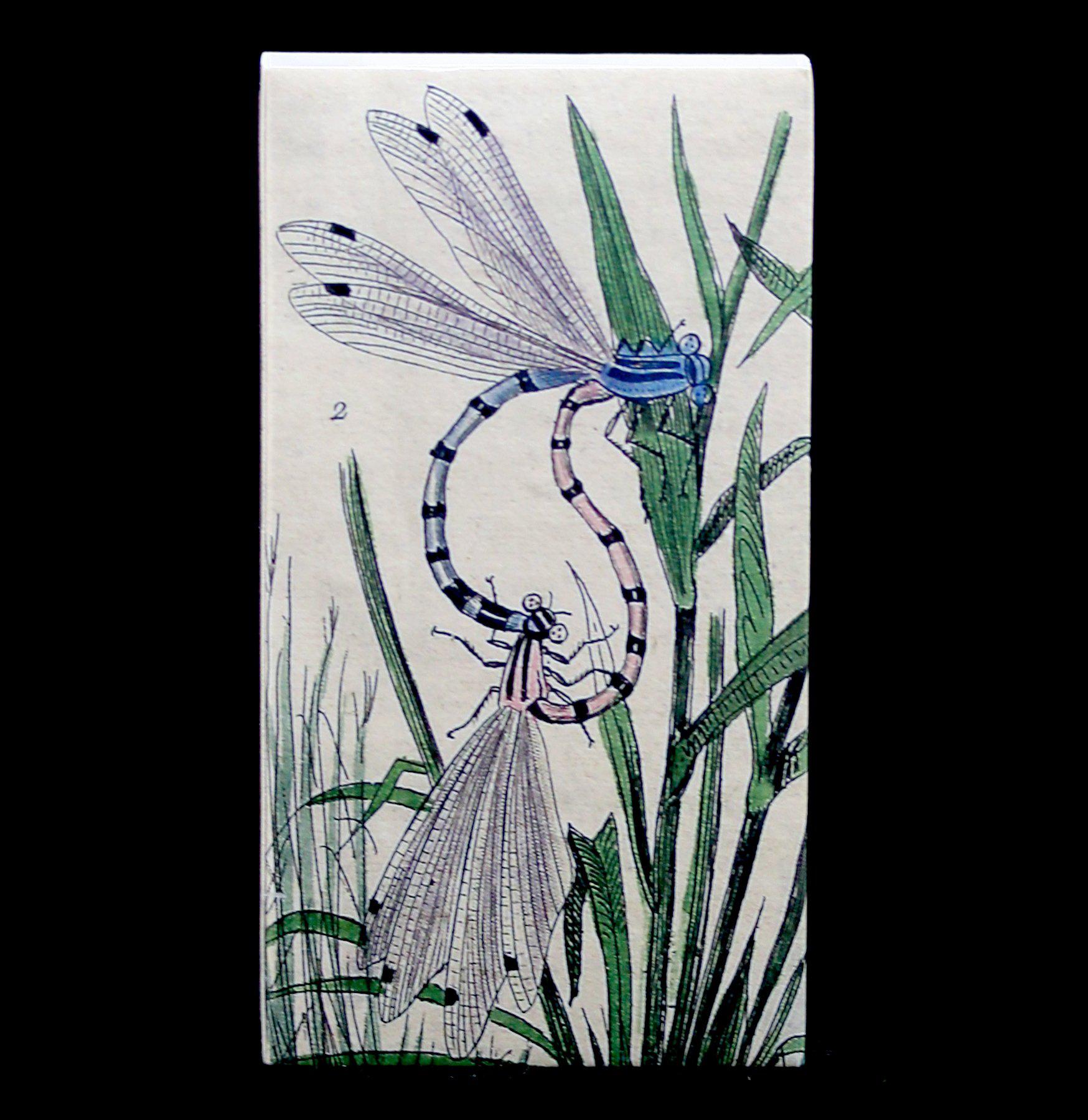 Premium Dragonfly Matches - Long-Lasting, Windproof & Waterproof Matches for Camping, Hiking & Emergency Survival Kits