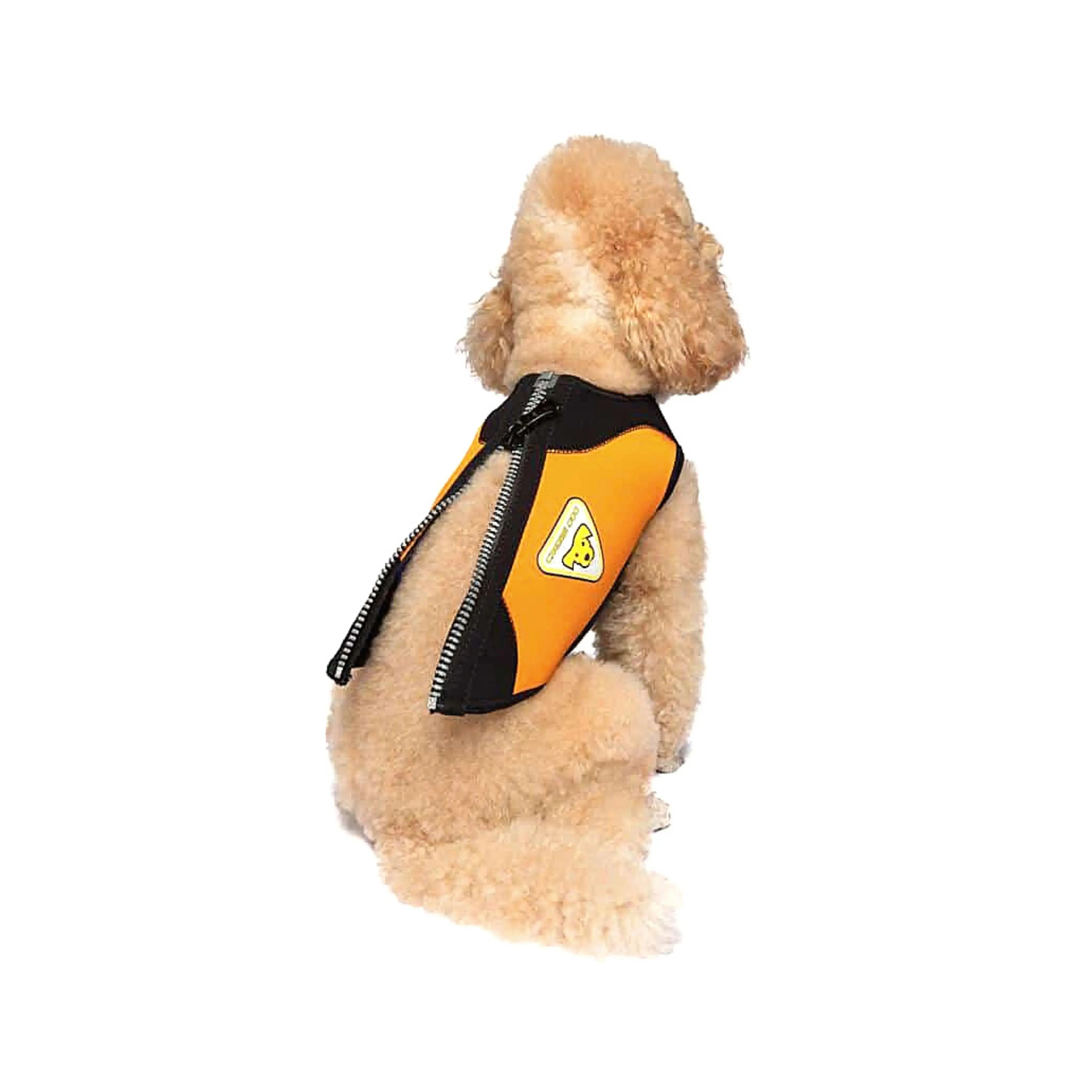 CRESSI Small Dog Wetsuit for Swimming & Water Sports - Neoprene Pet Wetsuit for Beach, Pool & Outdoor Adventures