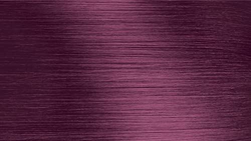 Wine Burgundy