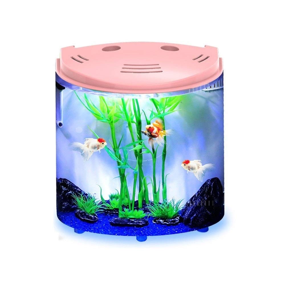 QPLKKMOI Fish Tank Aquarium Starter Kit with Power Filter & LED Lighting - Perfect for Beginners, Home & Office Aquarium Setup