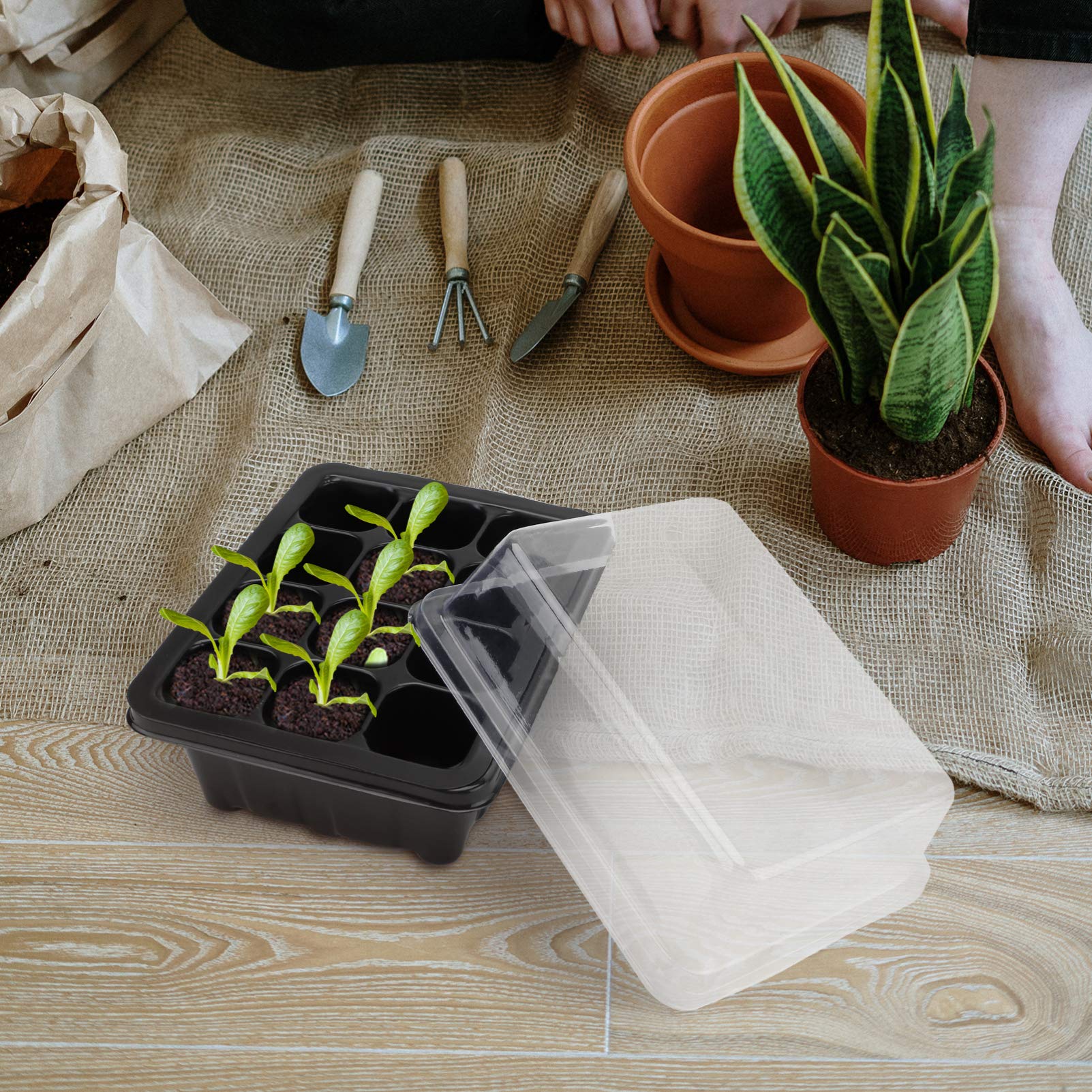 5 Pack Seed Starter Kit - 12 Cells Trays with Humidity Dome for Gardening, Plant Propagation, Bonsai & Germination - Perfect for Indoor & Outdoor Planting (Black)