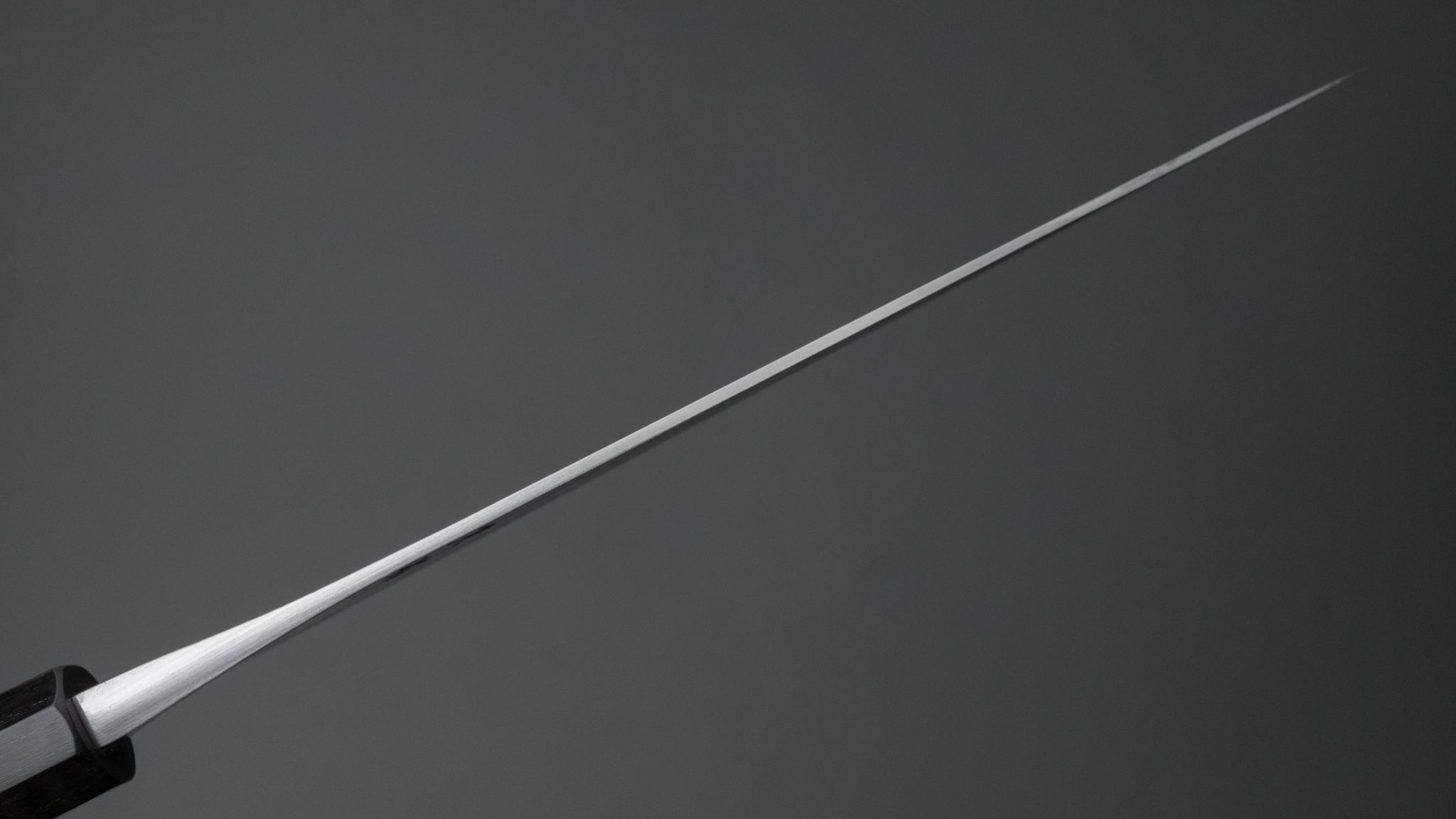 Premium Jiro Tsuchime Wa Sujihiki 210mm Japanese Slicing Knife - Taihei Tagayasan Handle (#513) - Perfect for Sushi, Sashimi & Meat Carving