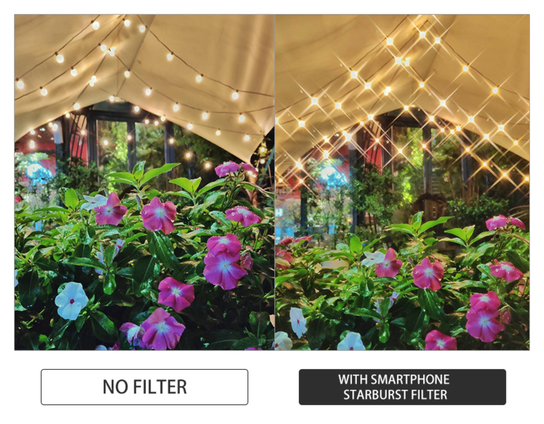 Kase Square Magnetic 2-in-1 Camera Lens Filter Kit - Star Burst & Blue Streak Effect Filters for DSLR & Mirrorless Photography - Perfect for Portraits, Landscapes & Creative Shooting