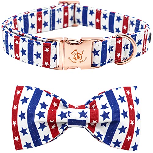 American Flag