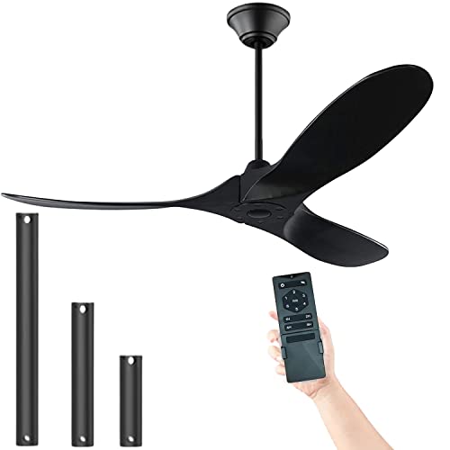 Black Ceiling Fans