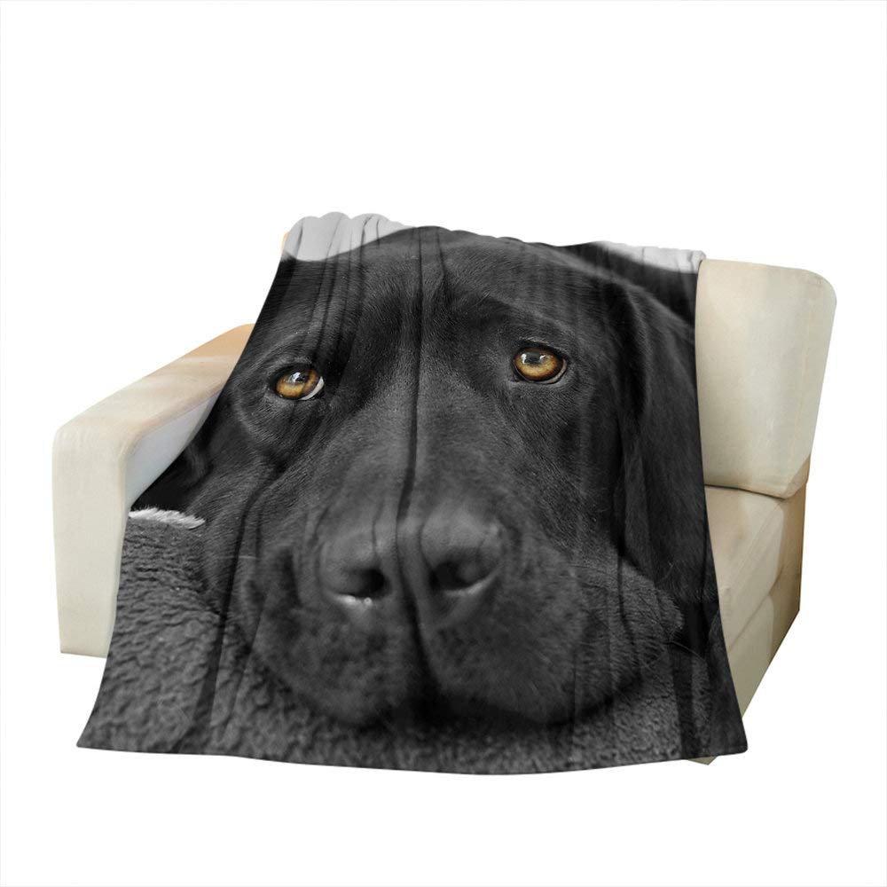Premium Soft Cozy Throw Blanket - Black Labrador Dog Design, Fuzzy Plush Blanket for Couch, Bed & Sofa (30x40 Inches) - Perfect for Adults, Teens, Home Decor, Travel & Camping Gifts