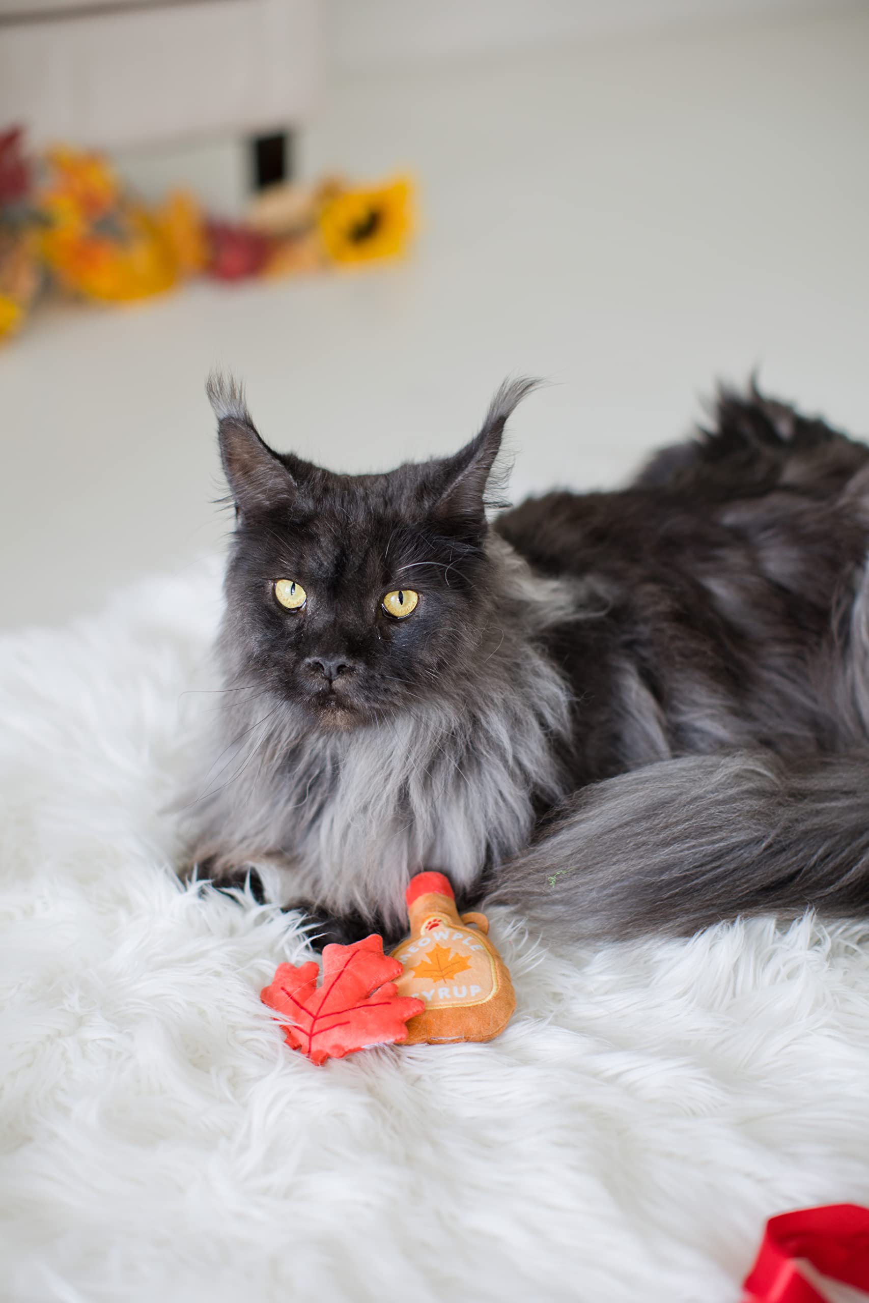 Pearhead Maple Leaf Cat Toys - Crinkle & Catnip Thanksgiving Pet Toys for Play & Exercise - Set of 2 - Perfect for Holiday Playtime & Interactive Chase Games with Your Feline Friend