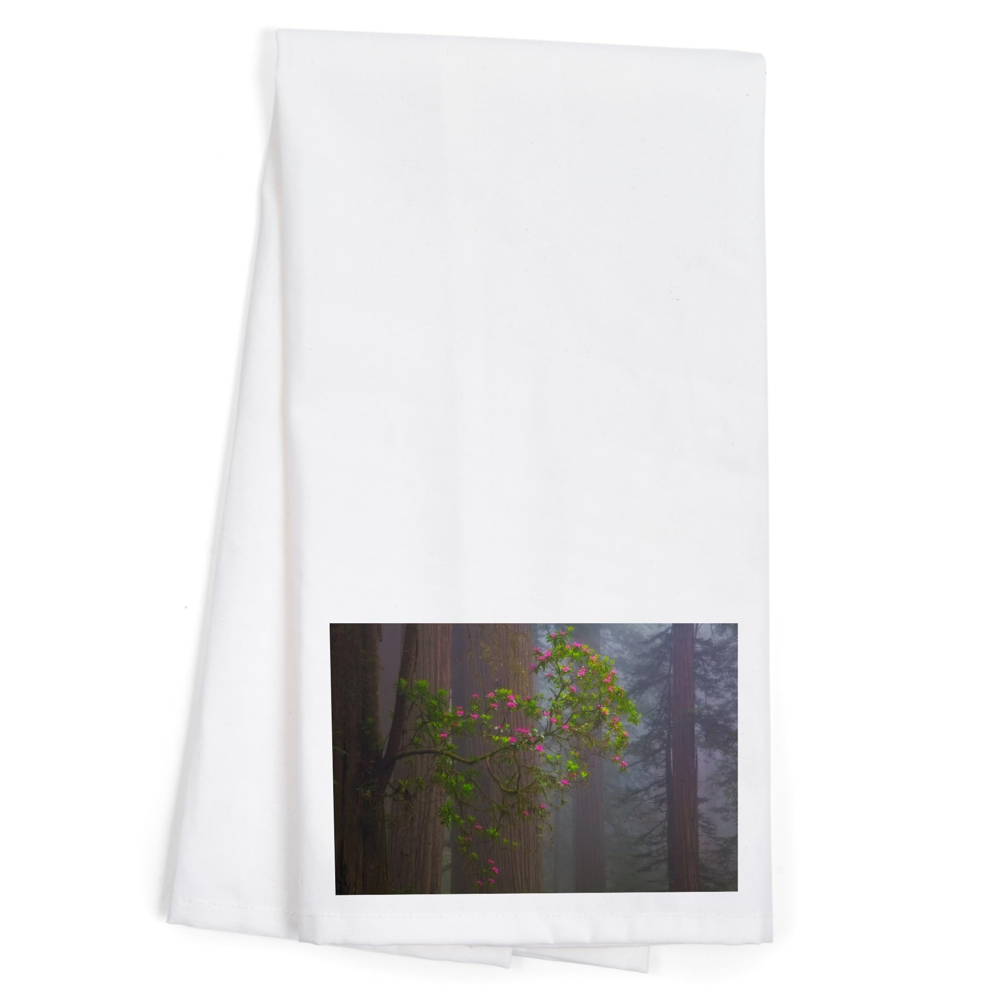 Lantern Press Redwood Forest 100% Cotton Tea Towel - Decorative Hand Towel for Kitchen & Home Decor - Perfect for Dish Drying, Gift Giving & Farmhouse Style Decor