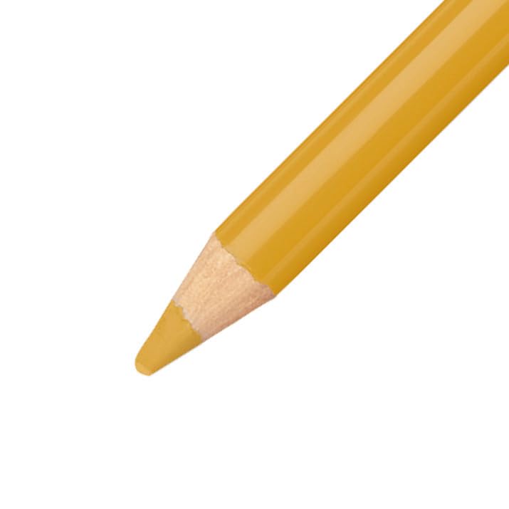 STABILO CarbOthello Pastel Chalk Pencils 12 Pack - Golden Ochre for Artists & Sketching | Perfect for Drawing, Blending & Shading on Paper & Canvas