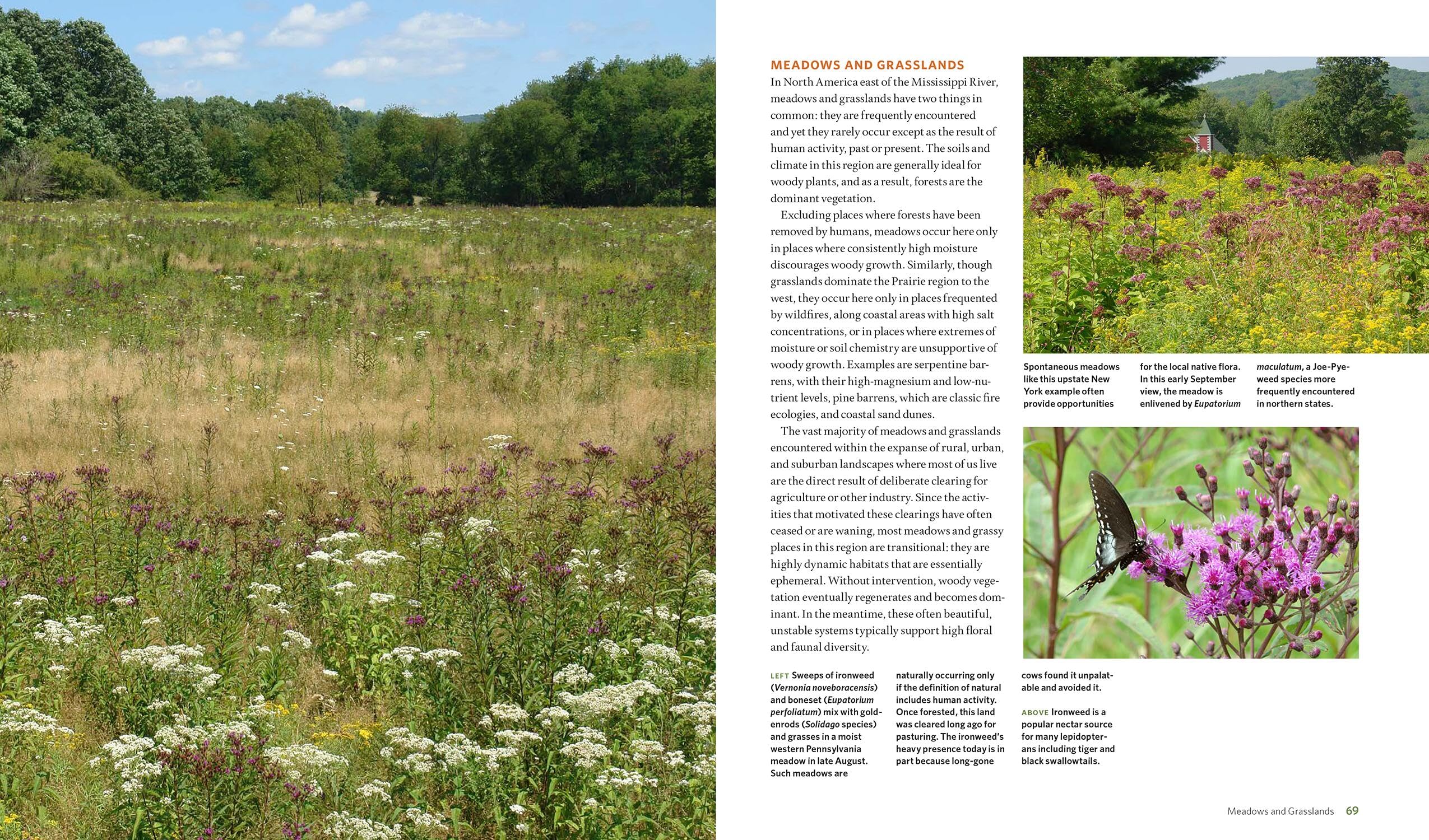 The Living Landscape: Guide to Designing Beautiful and Biodiverse Home Gardens | Perfect for Eco-Friendly Outdoor Spaces & Sustainable Gardening