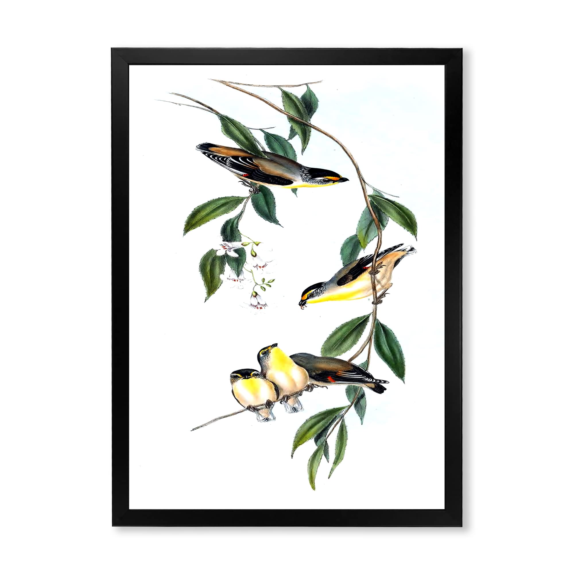 DesignQ Vintage Bird III Traditional Framed Wall Art - Handcrafted Home Decor for Living Room, Bedroom & Office - Perfect Gift for Housewarming & Holidays