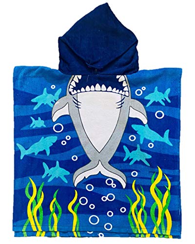 Shark
