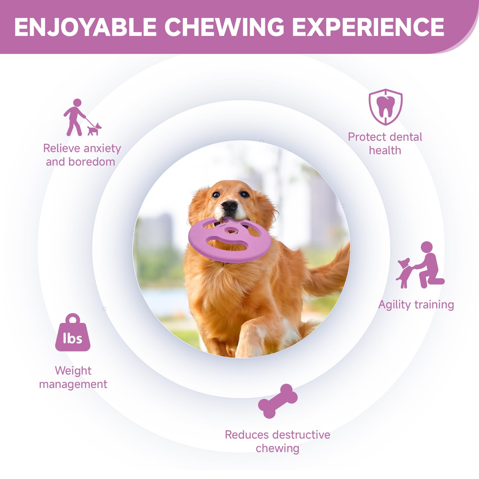 Natural Rubber Dog Toy for Fetch & Outdoor Play - 8.6 Inch Violet Flying Disc, Durable Interactive Chew Toy for Medium & Large Dogs - Perfect for Beach, Park & Backyard Games