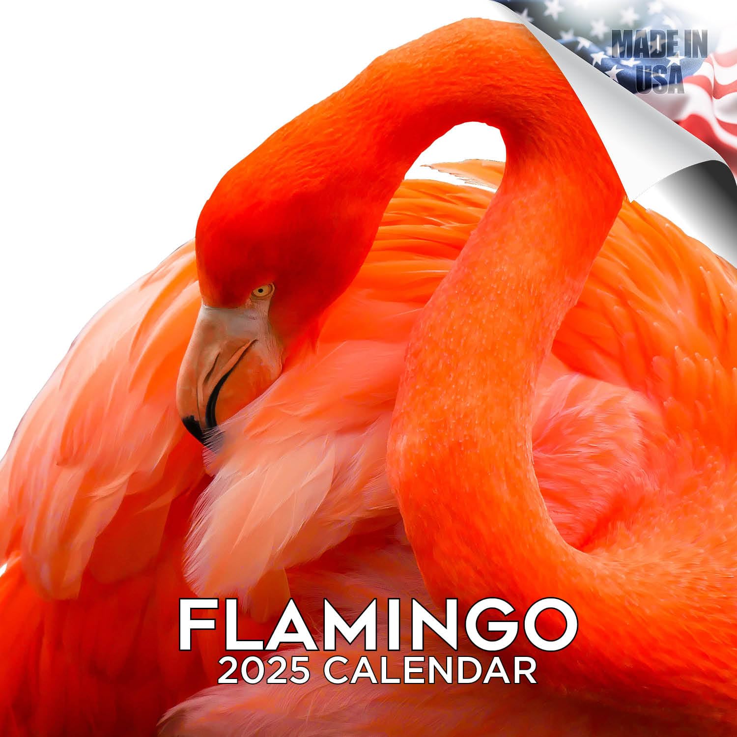 2024-2025 Flamingo Wall Calendar - 12
