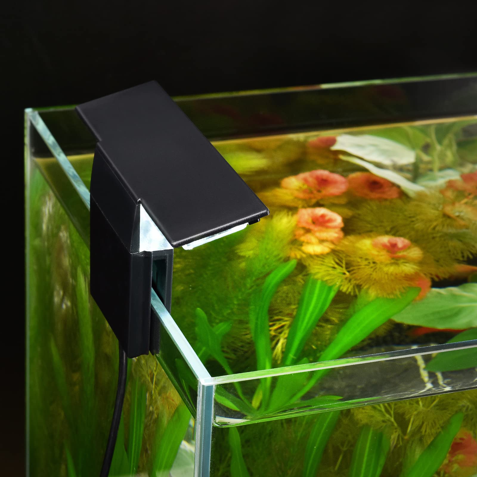 WEAVERBIRD 6W LED Aquarium Light with 12 LEDs for Planted Fish Tanks - Clip-On Lamp Fits 8-15 Inch (6mm Thick) Aquariums | Perfect for Freshwater Plant Growth & Fish Tank Lighting