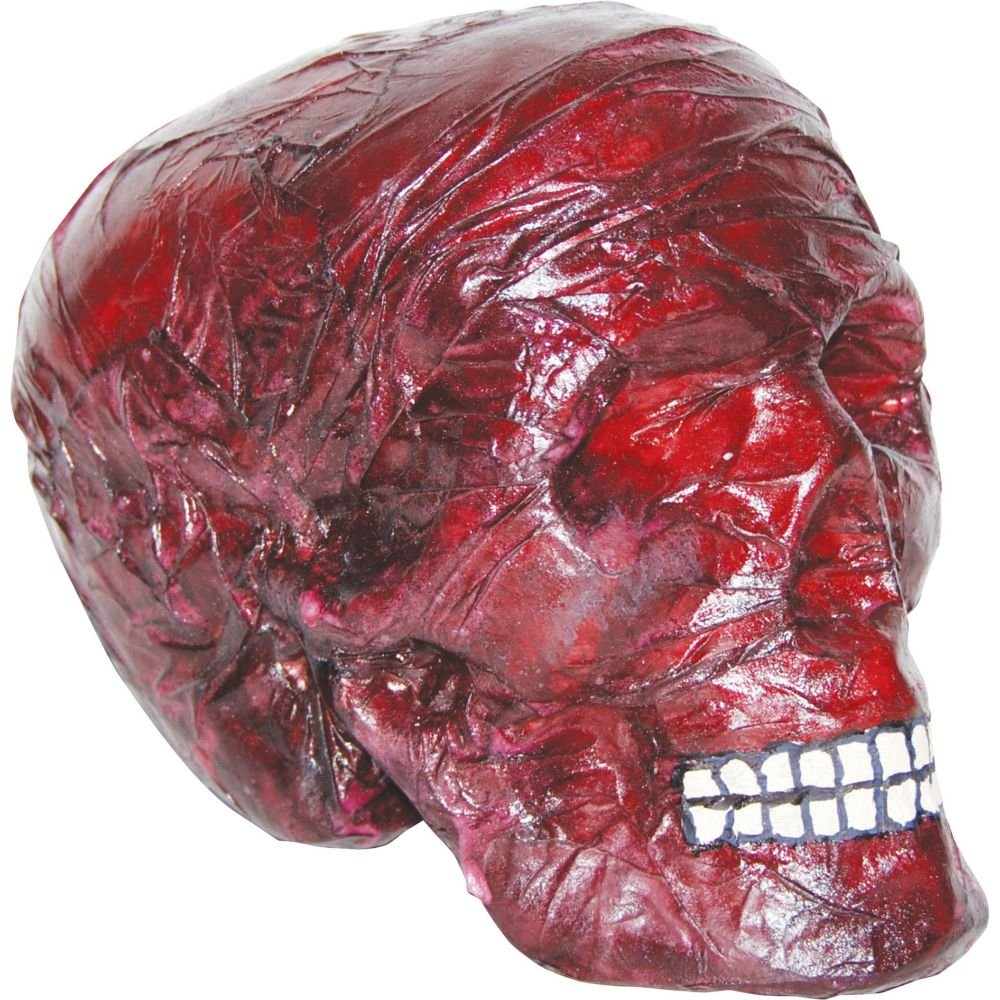 Realistic Blood Red Scary Skull Prop - Halloween Decoration, Horror Party Decor, Haunted House Accessory - Perfect for Spooky Events, Themed Parties & Photoshoots