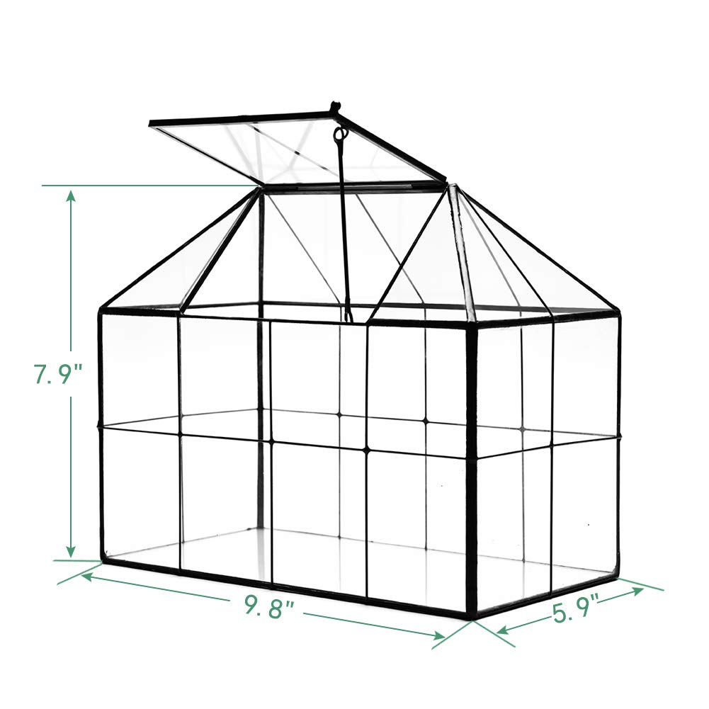 Large Glass Terrarium Planter for Succulents - 9.8