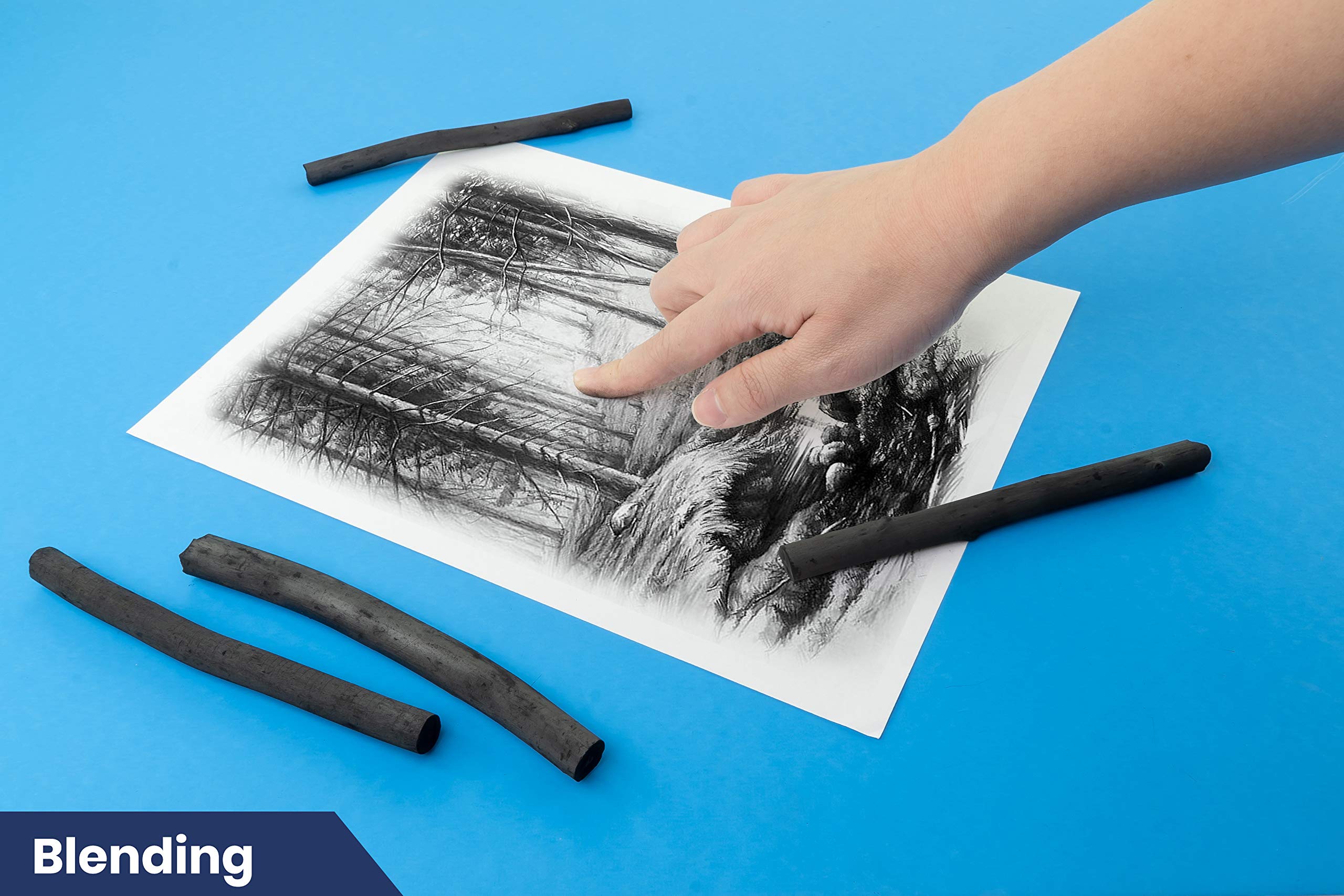 Pacific Arc Large Vine Charcoal Sticks - 5 Pack Soft Black Willow Drawing Charcoal for Sketching, Shading & Art | Perfect for Portrait Drawing, Life Sketching & Art Classes