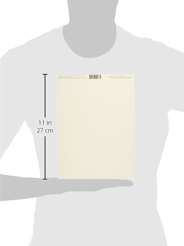 Bazzill Cardstock 8.5