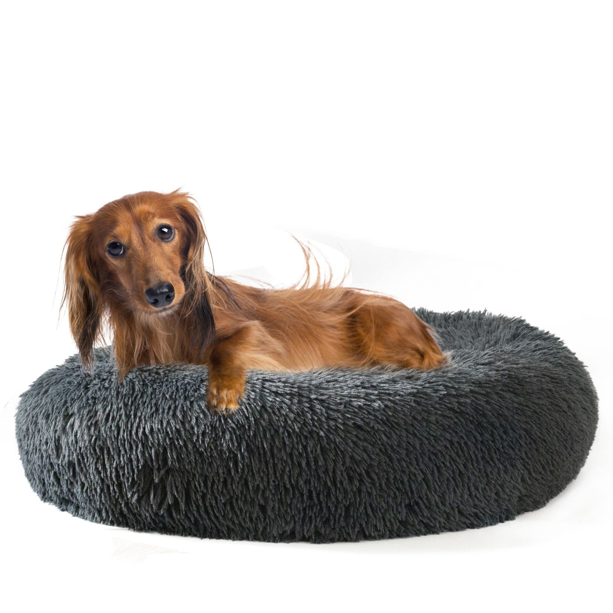 Labpepet Round Donut Dog Bed for Small Dogs & Cats - Washable, Fluffy & Warm Anti-Anxiety Pet Bed with Soothing Plush - Perfect for Puppies, Kittens & Anxious Pets in Living Room or Bedroom