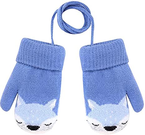 Blue Fox