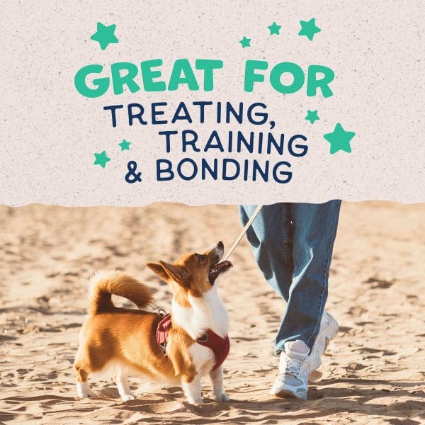 Natural Balance Crunchy Dog Biscuits with Real Chicken - Small Breed Recipe, 8oz - Healthy Treats for Training & Rewarding Your Pet