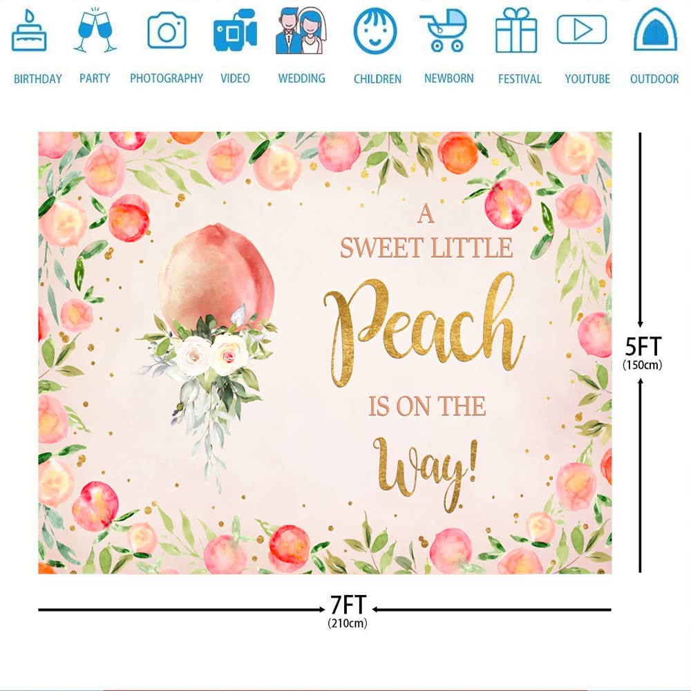 7x5ft Sweet Peach Baby Shower Backdrop - Pink Peach Photography Background for Gender Reveal, Newborn Photo Shoot & Nursery Decor