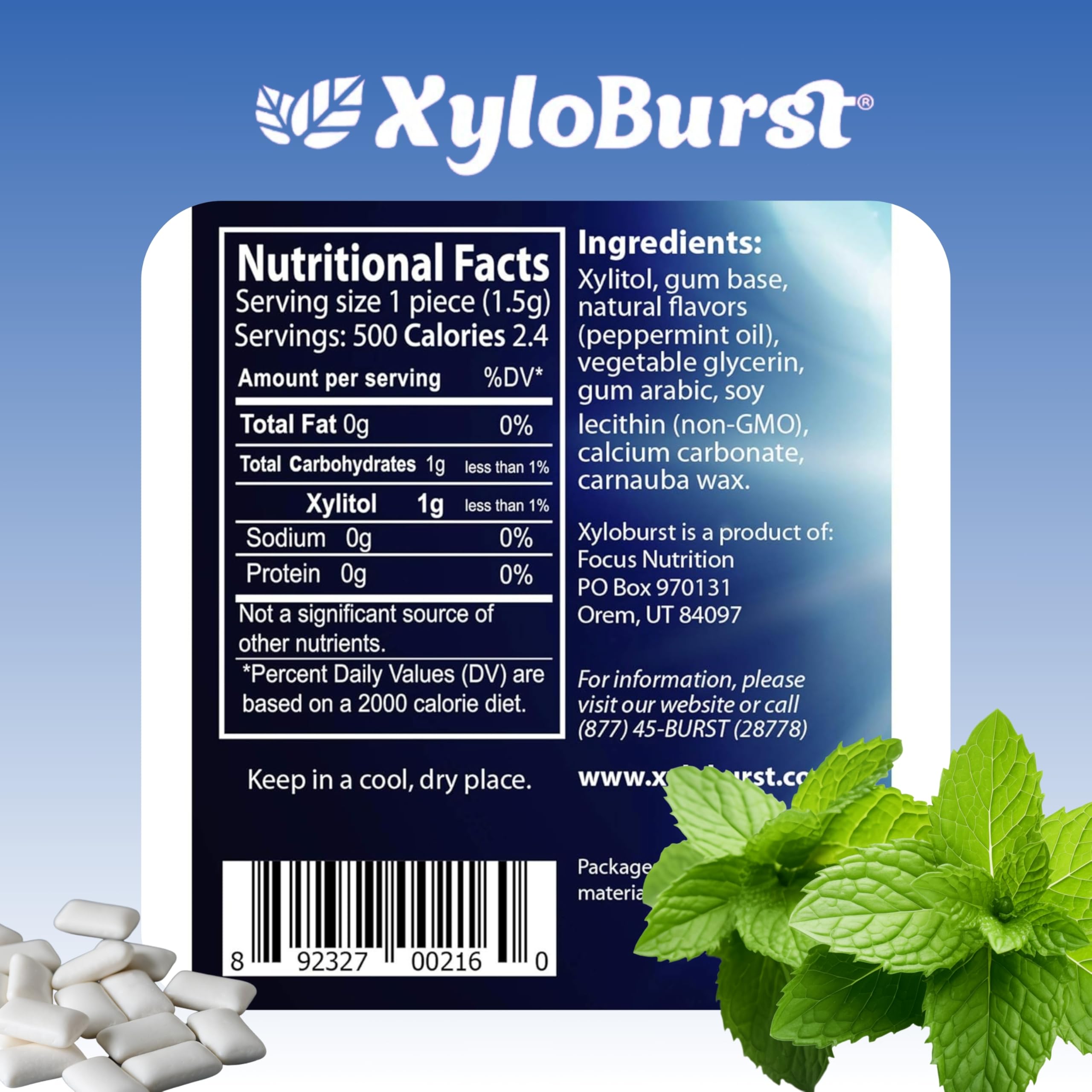 XyloBurst Xylitol Chewing Gum - Sugar Free, Gluten Free, Keto Friendly, Aspartame Free for Oral Health | Peppermint Flavor | 12 Pieces (Pack of 12) | Fresh Breath for Workouts, Meetings & Daily Use