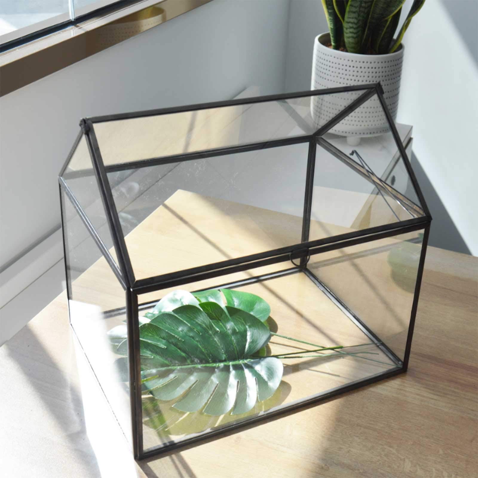 Large Glass Plant Terrarium for Succulents - 12.26x9.15x10.9 Inch Black Greenhouse Terrarium Kit with Lip | Perfect for Home Decor, Office Plants & Indoor Gardening Gifts