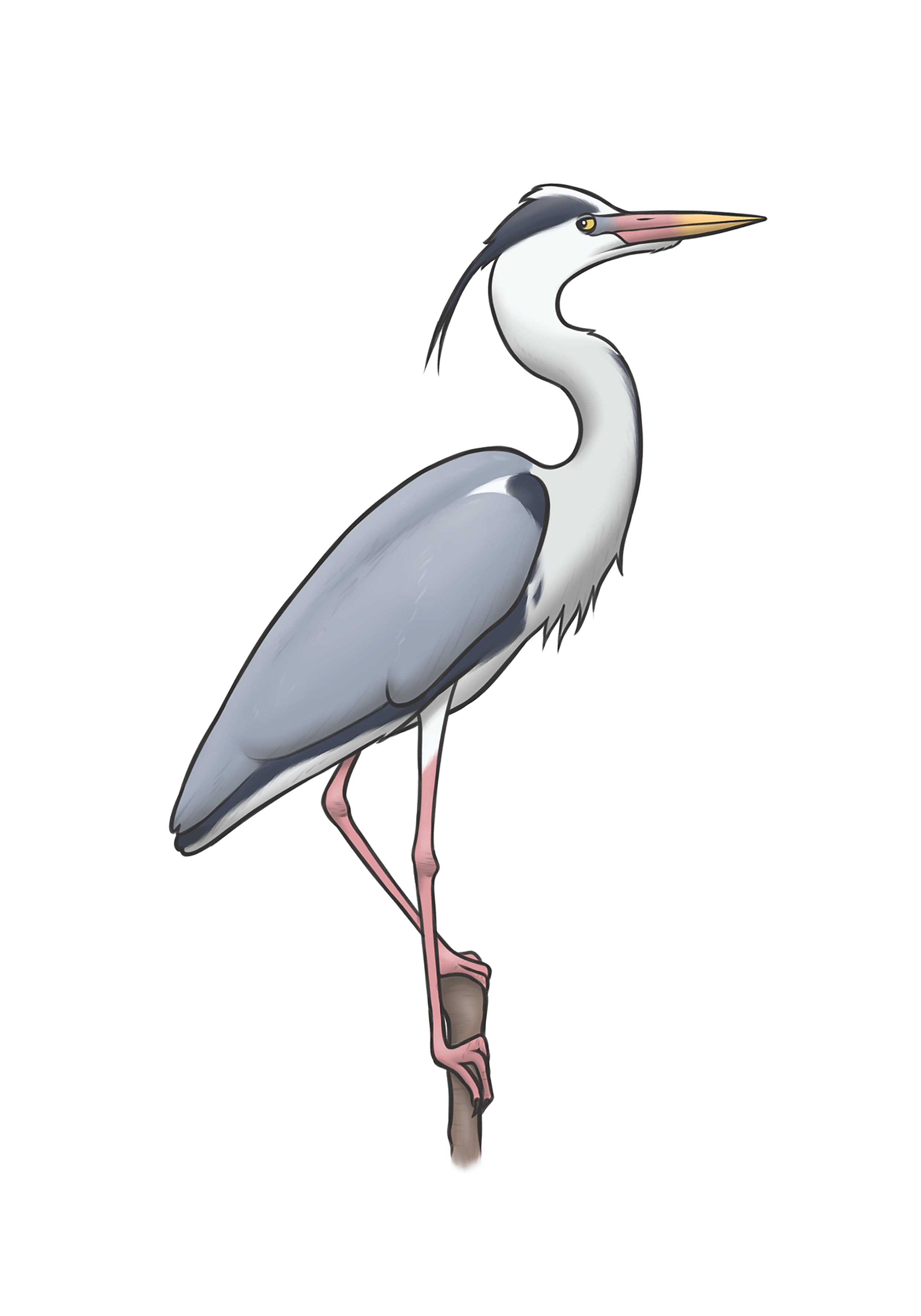 Grey Heron A4 Print by Joe Hollingsworth - Beautiful Oystercatcher Artwork for Home & Office Decor | Perfect for Living Room, Bedroom or Gift Giving