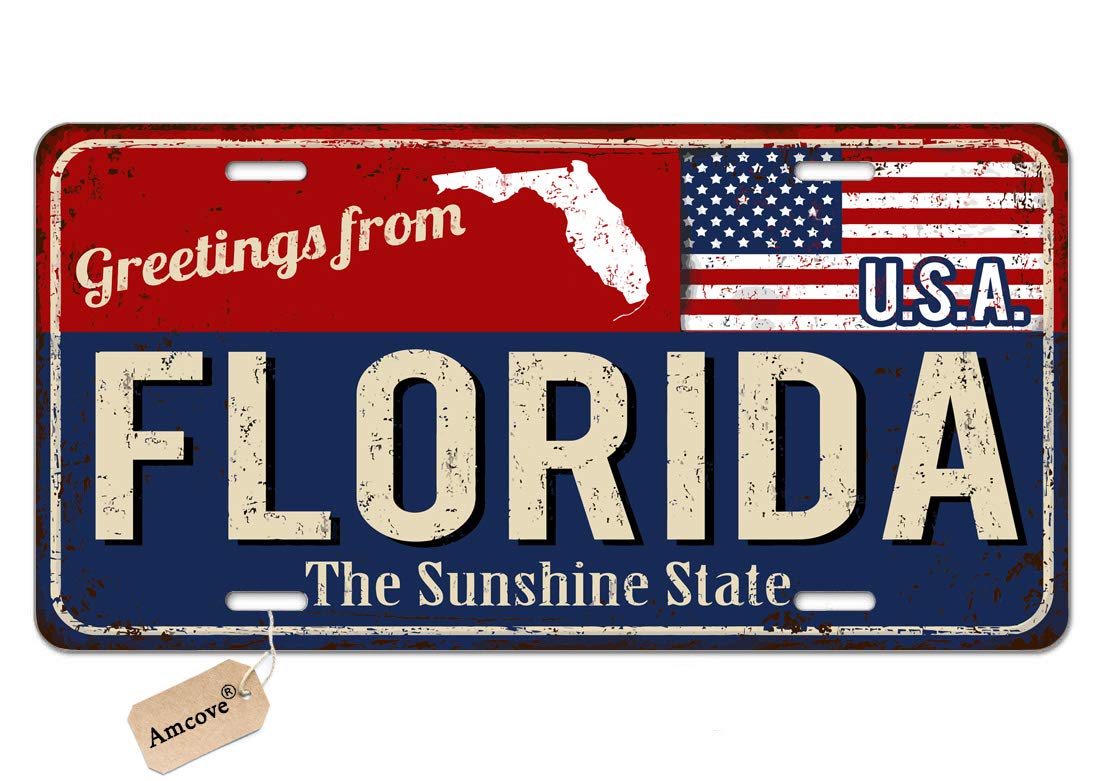 Vintage Florida Rusty Metal License Plate Sign with American Flag - 6x12 Inch - Retro Wall Decor for Home, Bar, or Garage - Perfect Gift for Travel Lovers & Floridians