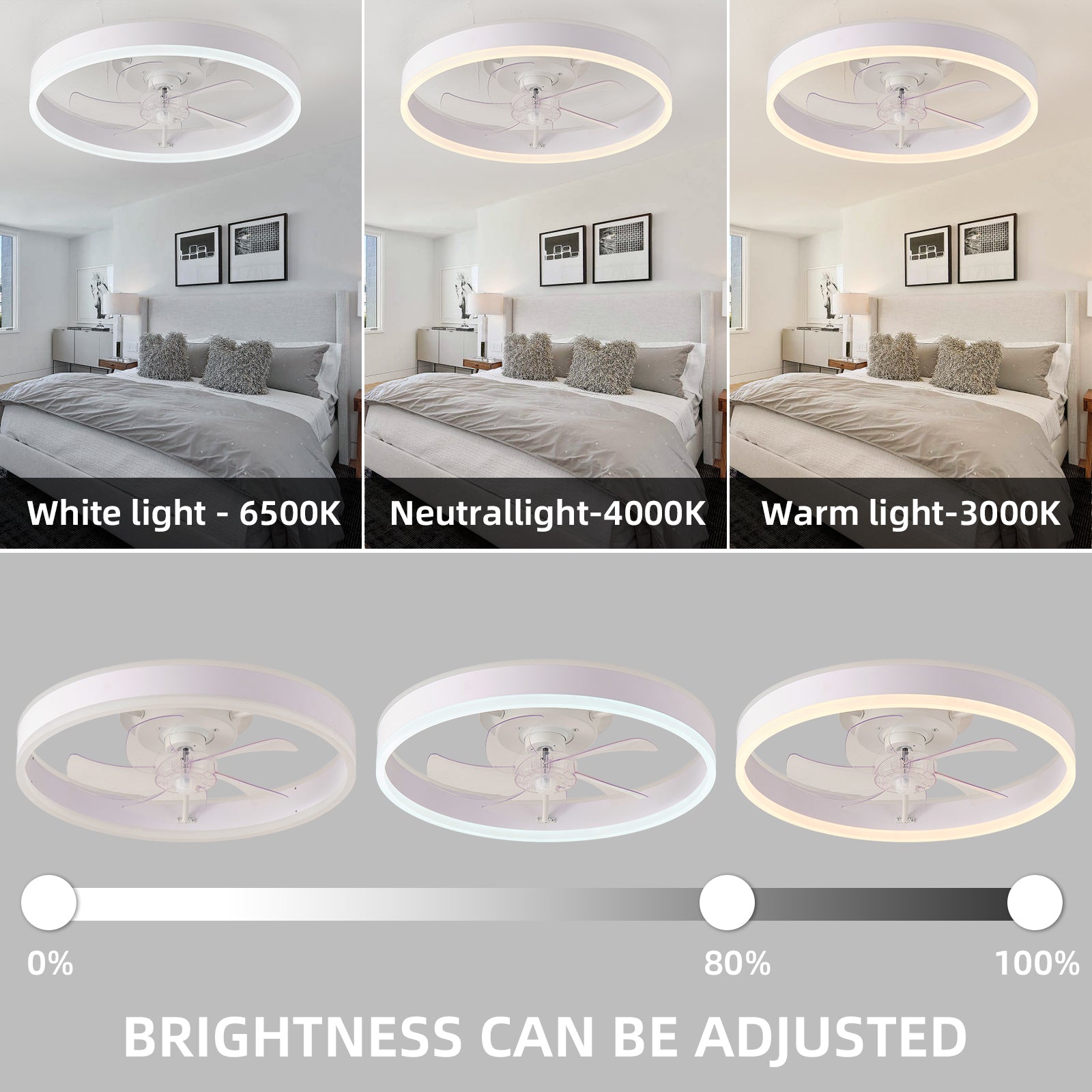 19.7 Inch RGB LED Ceiling Fan with Light - 3 Color Temperatures, 6 Speed Adjustable, Reversible Rotation for Bedroom, Living Room & Office