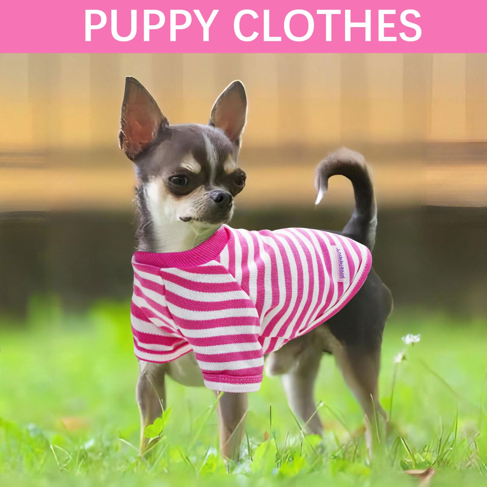 2 Pack Summer Dog Clothes for Small to Medium Dogs - Breathable Soft Puppy Outfits for Chihuahuas & Cats (XS-XXL) | Perfect for Outdoor Walks & Indoor Playtime