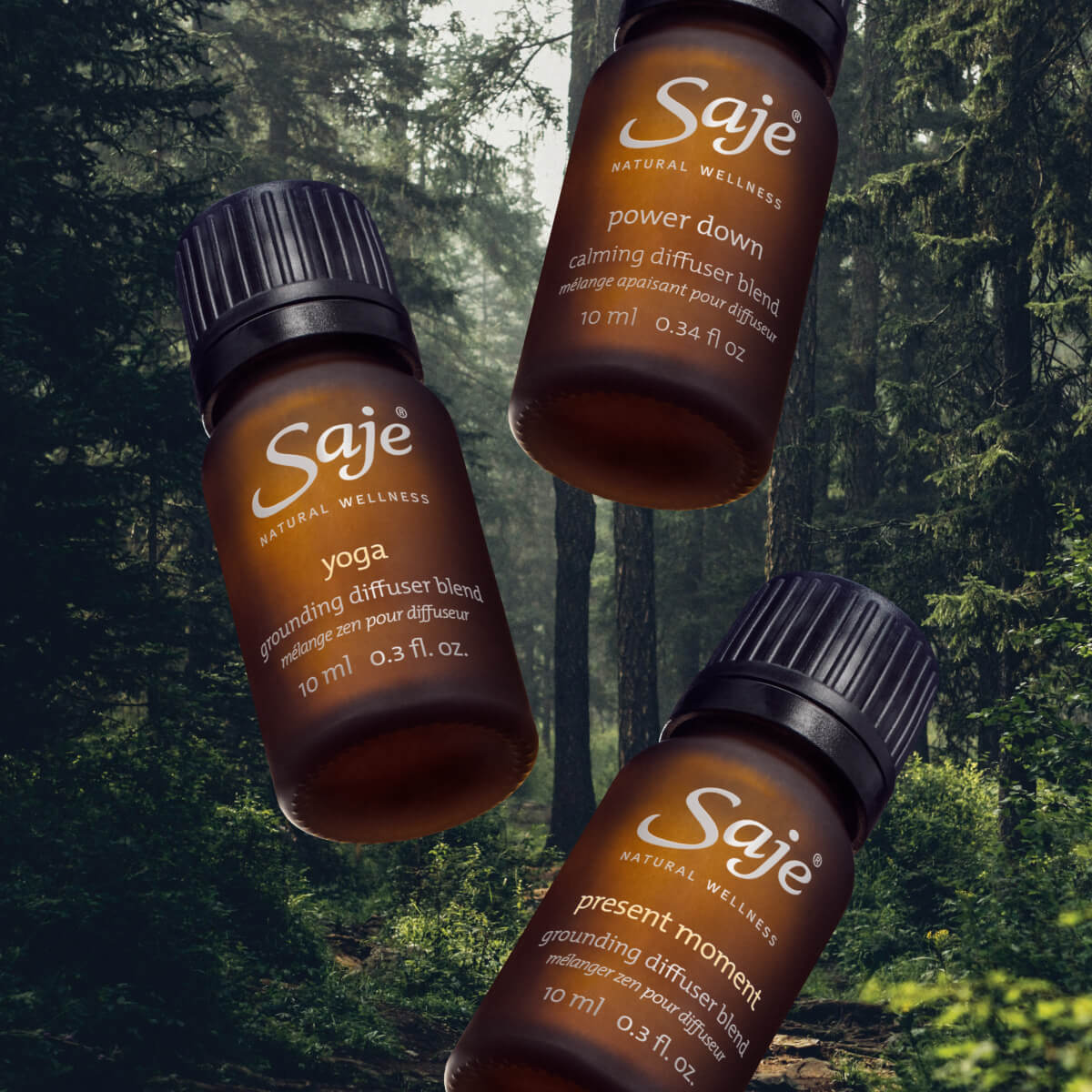 Roots of Tranquility Grounding Diffuser Blend Collection - Essential Oils for Relaxation, Stress Relief & Aromatherapy - Perfect for Home, Office & Yoga Spaces