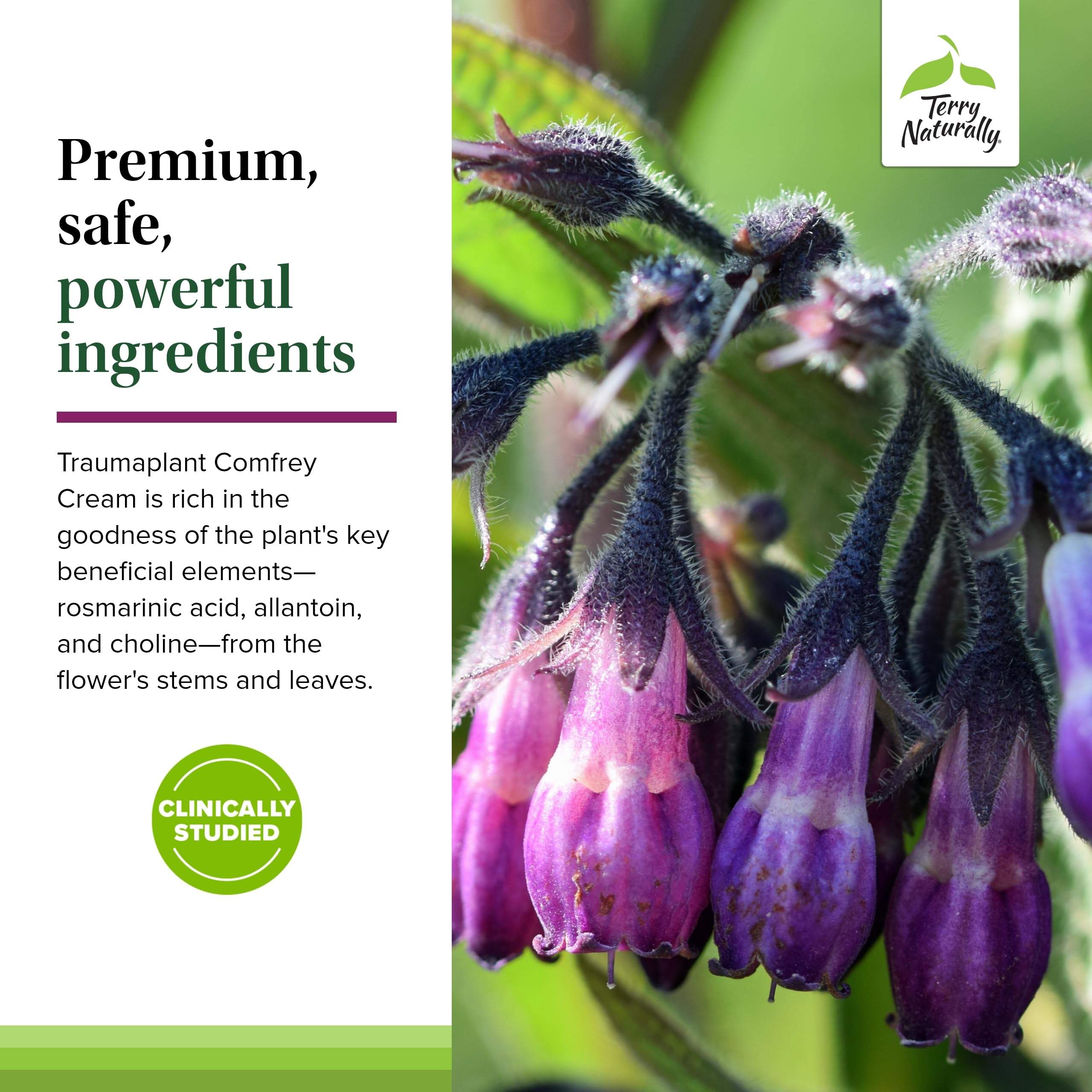 Terry Naturally Traumaplant Comfrey Cream - Herbal Relief Ointment for Pain & Bruises - Travel Size 3.53 oz (2 Pack) - Perfect for First Aid Kits, Sports Injuries & Post-Workout Recovery