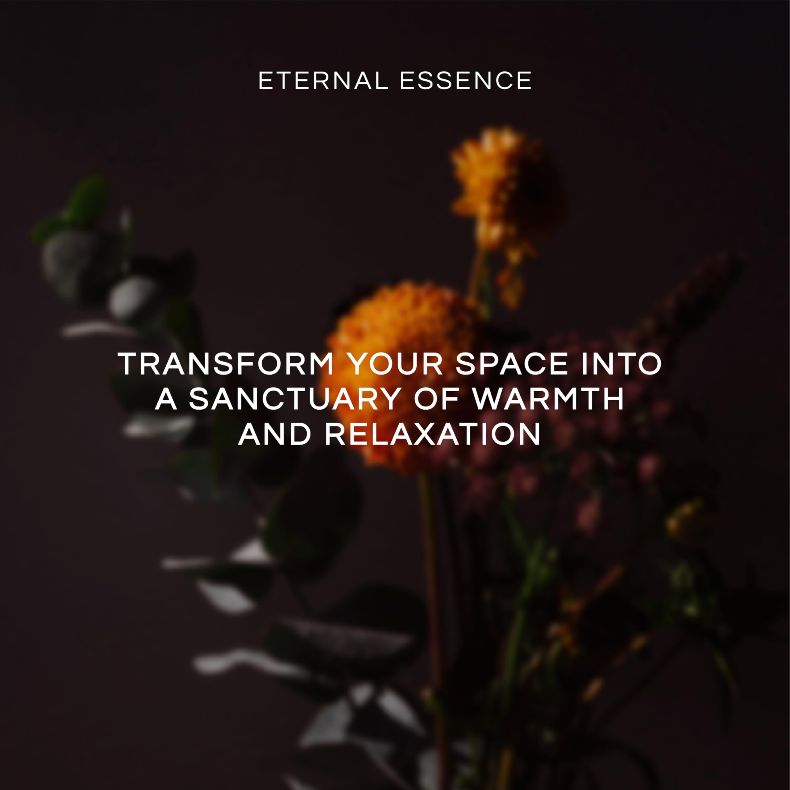 Eternal Essence Premium Fragrance Oils - 6-Piece Cookies & Cakes Scent Set (10ML) - Caramel Nut Muffin, Oatmeal Cookie Dough, Malibu Rum Cupcakes, Maple Pecan, Snickerdoodle, Cinnabon - Perfect for Candle Making, Soap Crafting & Home Aromatherapy