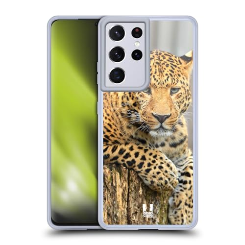 Leopard Portrait