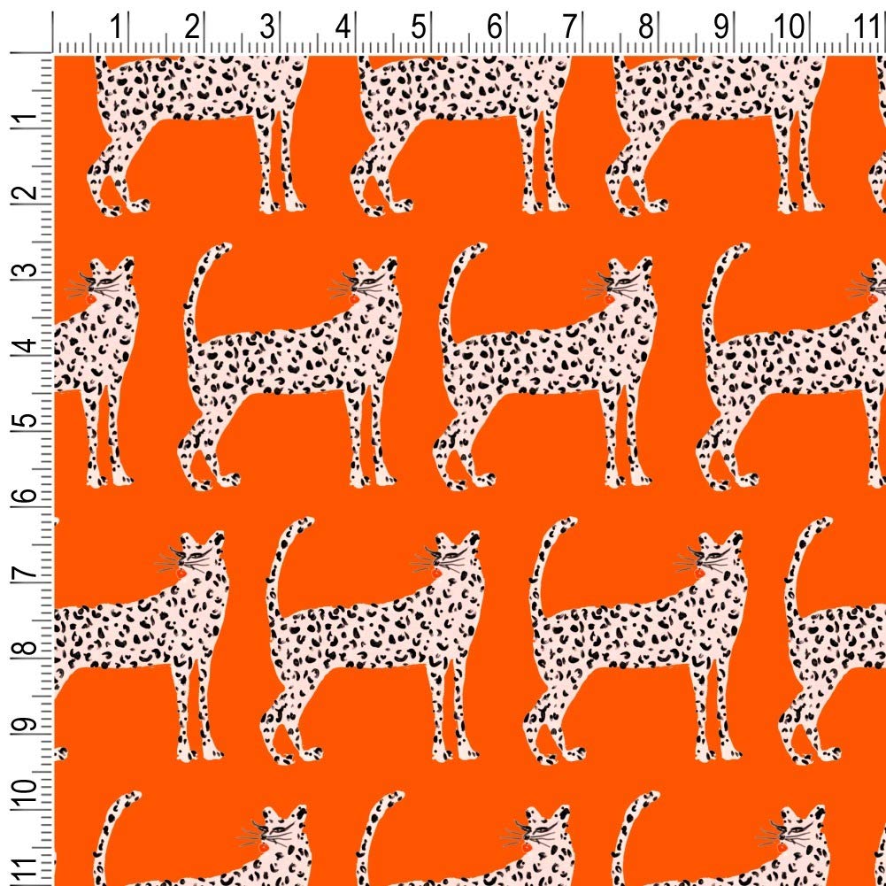 Cheeky Cheetahs Gift Wrap Paper Rolls - Fun Animal Print Wrapping Paper for Birthdays, Parties & Special Occasions | GRAPHICS & MORE Premium Wrapping Paper