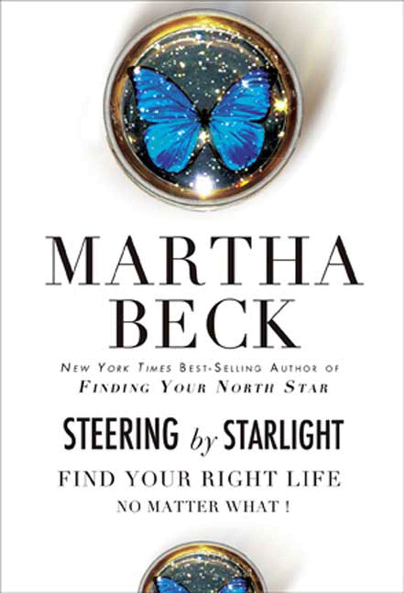 Steering by Starlight: Self-Help Book for Finding Your Right Life Path | Personal Growth & Life Guidance | Perfect for Motivation, Career Change & Spiritual Awakening
