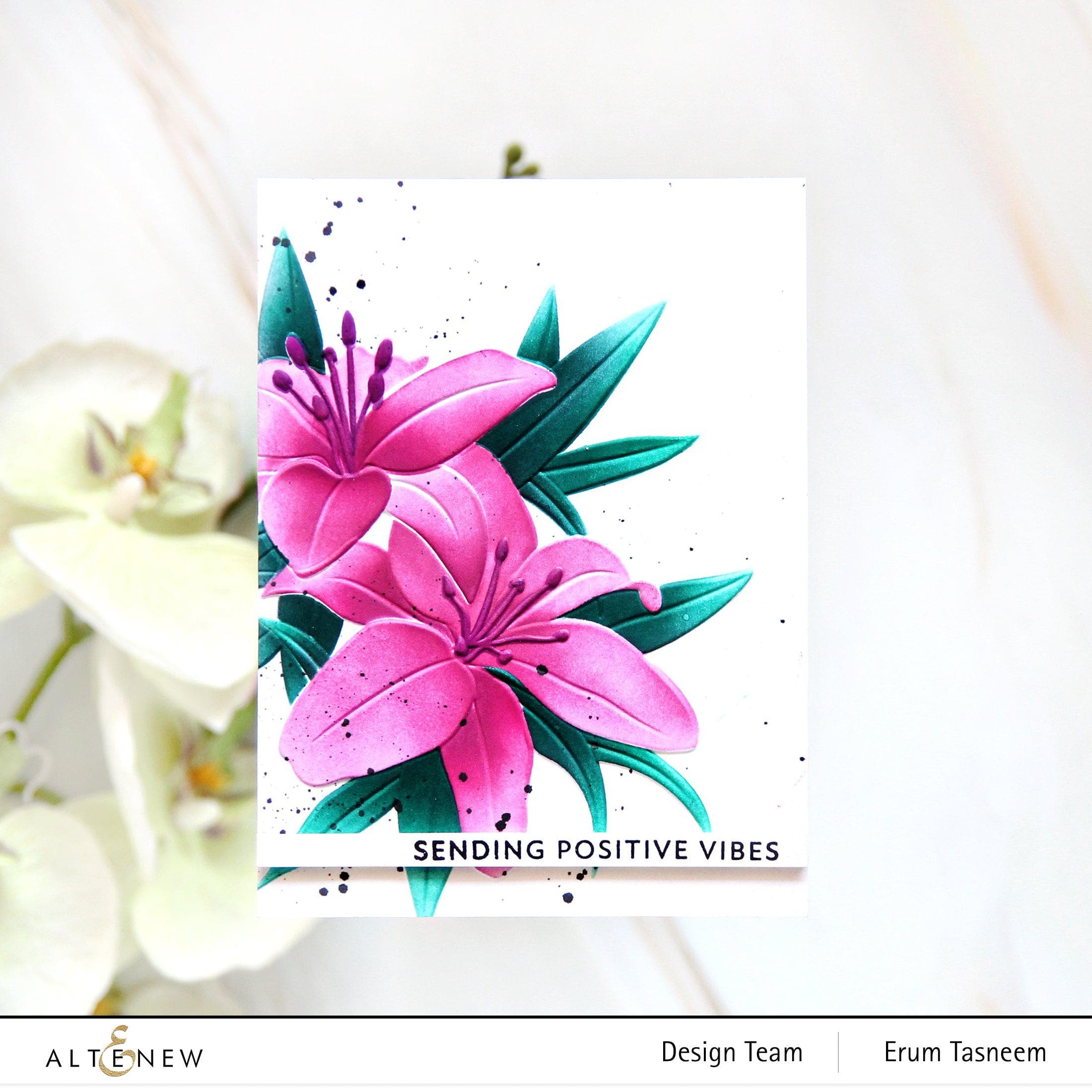 Dreamy Daylilies - Beautiful Perennial Flowers for Garden Landscaping | Perfect for Borders, Containers & Cut Flower Arrangements