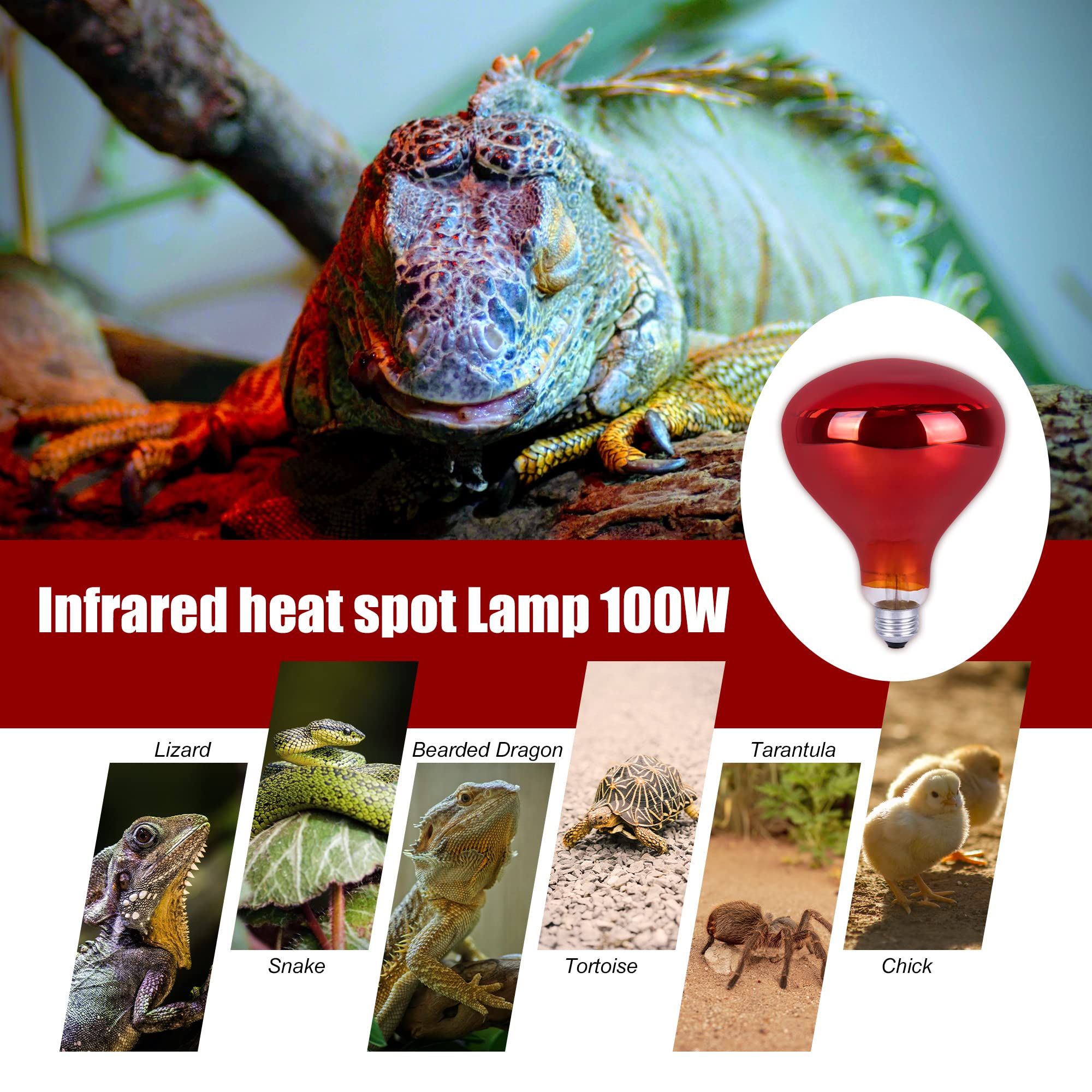 Infrared Heat Lamp Bulb 100W R40 Red Heat Light for Chicken Coop, Pet Warming, Bathroom Heating & Food Keeping - Brooder Bulb with Reflector (1 Pack) - Perfect for Poultry, Reptiles & Indoor Use