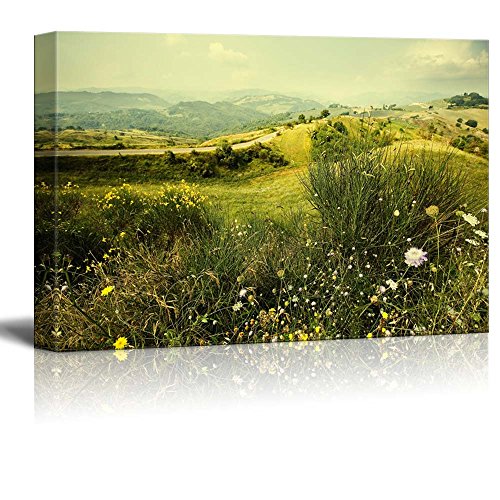 Alpine Meadow