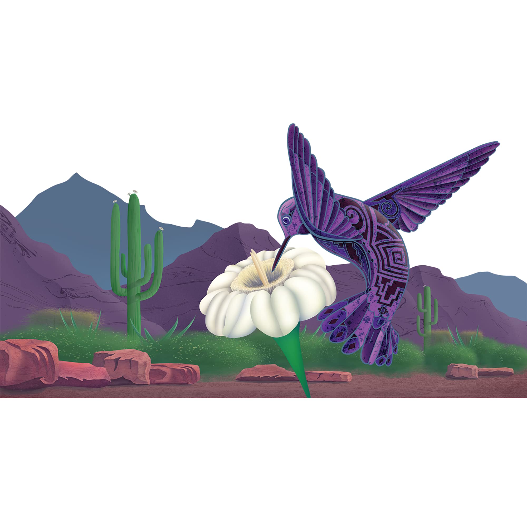Southwestern Hummingbird Wall Decal - Vibrant Bird Room Decor & Nursery Wall Art - Removable Vinyl Wildlife Mural Sticker for Kids Bedroom, Living Room & Nursery - Perfect for Nature-Themed Home Decor