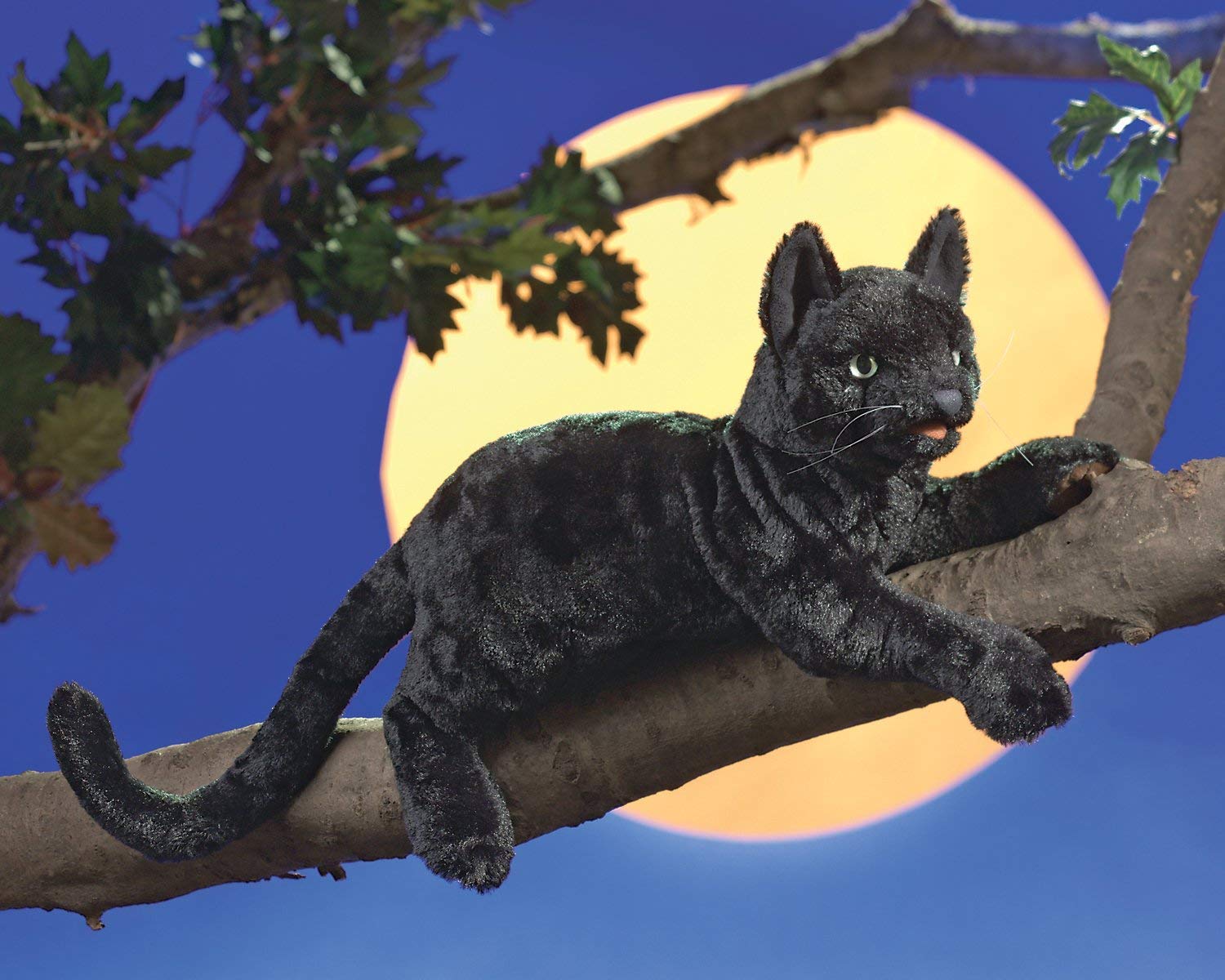 Folkmanis Black Cat Hand Puppet - Realistic & Interactive Plush Toy for Kids & Adults - Perfect for Storytelling, Education & Playtime Fun